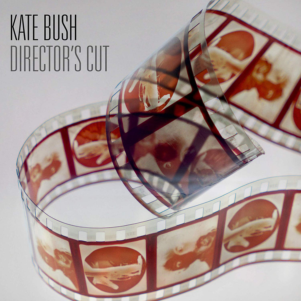 Kate Bush - Director's Cut (Remasterización de 2018) [Vinilo]