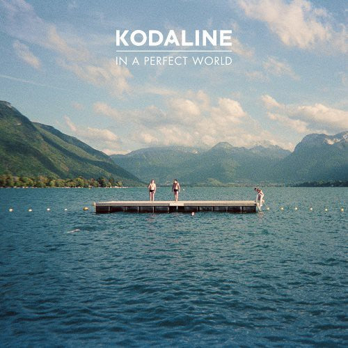 In a Perfect World [Vinyl] - Paladin Vinyl
