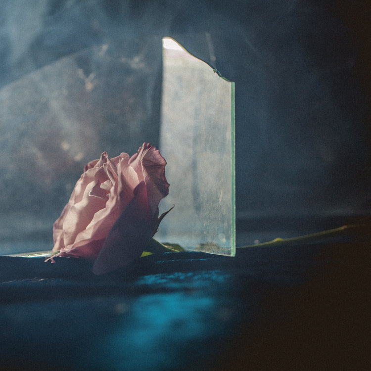 In Virus Times   [Vinyl] - Paladin Vinyl