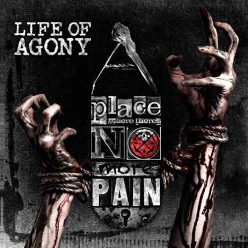 A Place Where There's No More Pain [Vinyl] - Paladin Vinyl