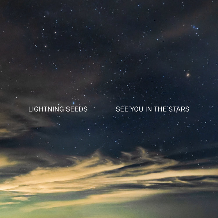 See You in the Stars (INDIE EX) [Vinyl] - Paladin Vinyl