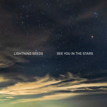 See You in the Stars (INDIE EX) [Vinyl] - Paladin Vinyl
