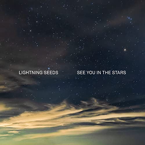 See You in the Stars [Vinyl] - Paladin Vinyl