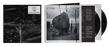 Wounded Rhymes [Vinyl]