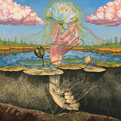 PHOTOTROPH [Vinyl] - Paladin Vinyl