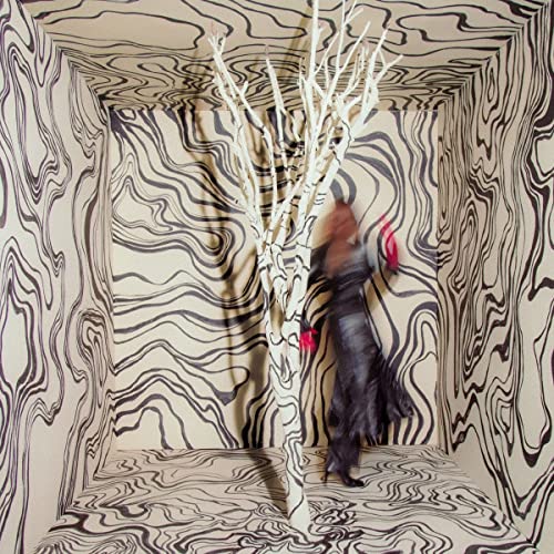 Madison Cunningham - Revealer [LP] [Vinilo]