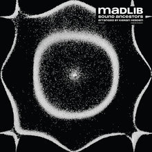 Sound Ancestors (Arranged By Kieran Hebden) [Vinyl] - Paladin Vinyl