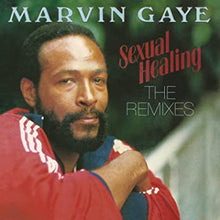 Sexual Healing: The Remixes [Vinyl] - Paladin Vinyl