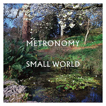 Small World [LP] [Vinyl] - Paladin Vinyl