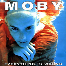 Everything Is Wrong (Colored Vinyl, Blue, 140 Gram Vinyl) [Vinyl]