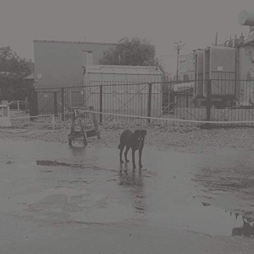 After its own death / Walking in a spiral towards the house [Vinyl] - Paladin Vinyl
