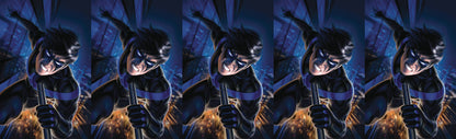 NIGHTWING #60 B Warren Louw Variant (05/15/2019) DC