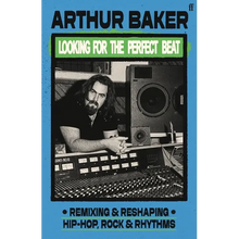Looking for the Perfect Beat: Remixing and Reshaping Hip-Hop, Rock and Rhythms