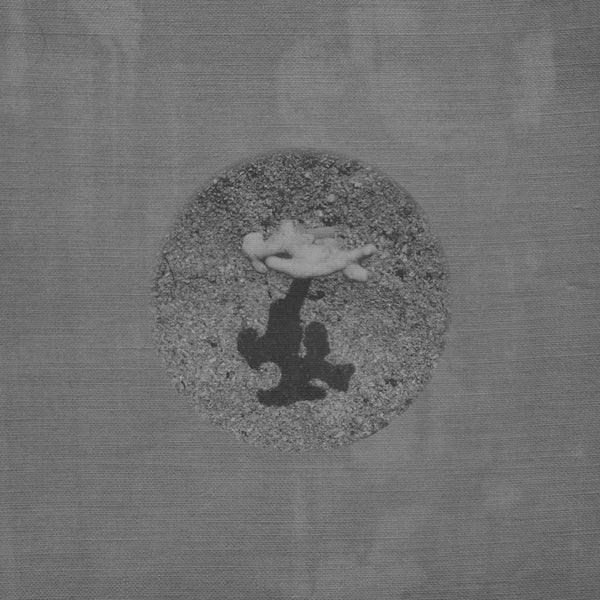 Tara Cunningham - Warm Ground [Vinyl]
