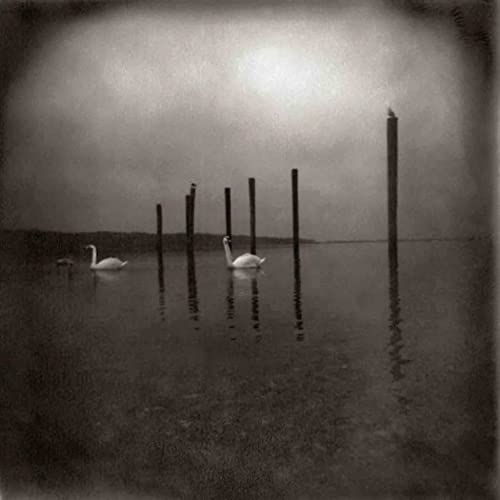 Conference Of The Birds [Vinyl] - Paladin Vinyl