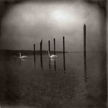 Conference Of The Birds [Vinyl] - Paladin Vinyl