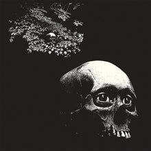 A Foul Form [Vinyl] - Paladin Vinyl