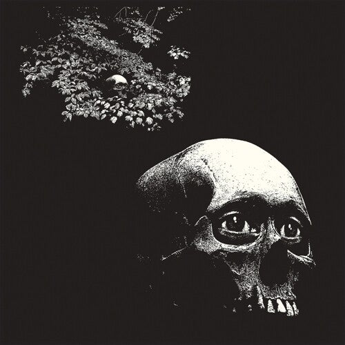 A Foul Form [Vinyl] - Paladin Vinyl