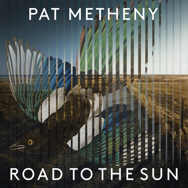 Pat Metheny - Road to the Sun (Limited Deluxe Boxset)   [Vinyl]