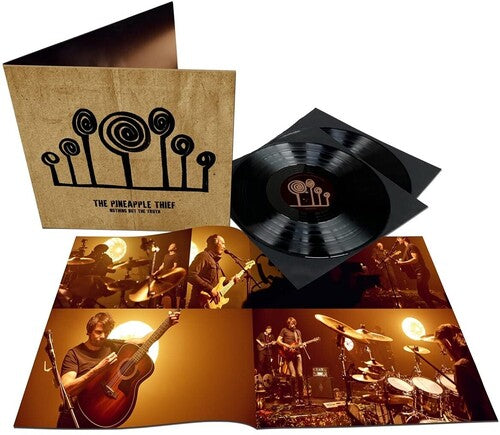 Nothing But The Truth (2 Lp's) [Vinyl] - Paladin Vinyl