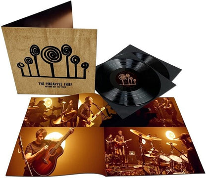 Nothing But The Truth (2 Lp's) [Vinyl] - Paladin Vinyl