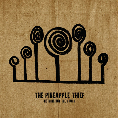 Nothing But The Truth (2 Lp's) [Vinyl] - Paladin Vinyl