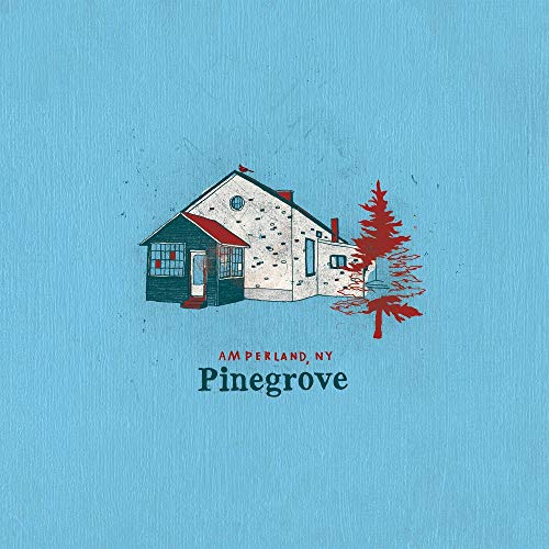 Pinegrove - Amperland, NY [Vinyl]