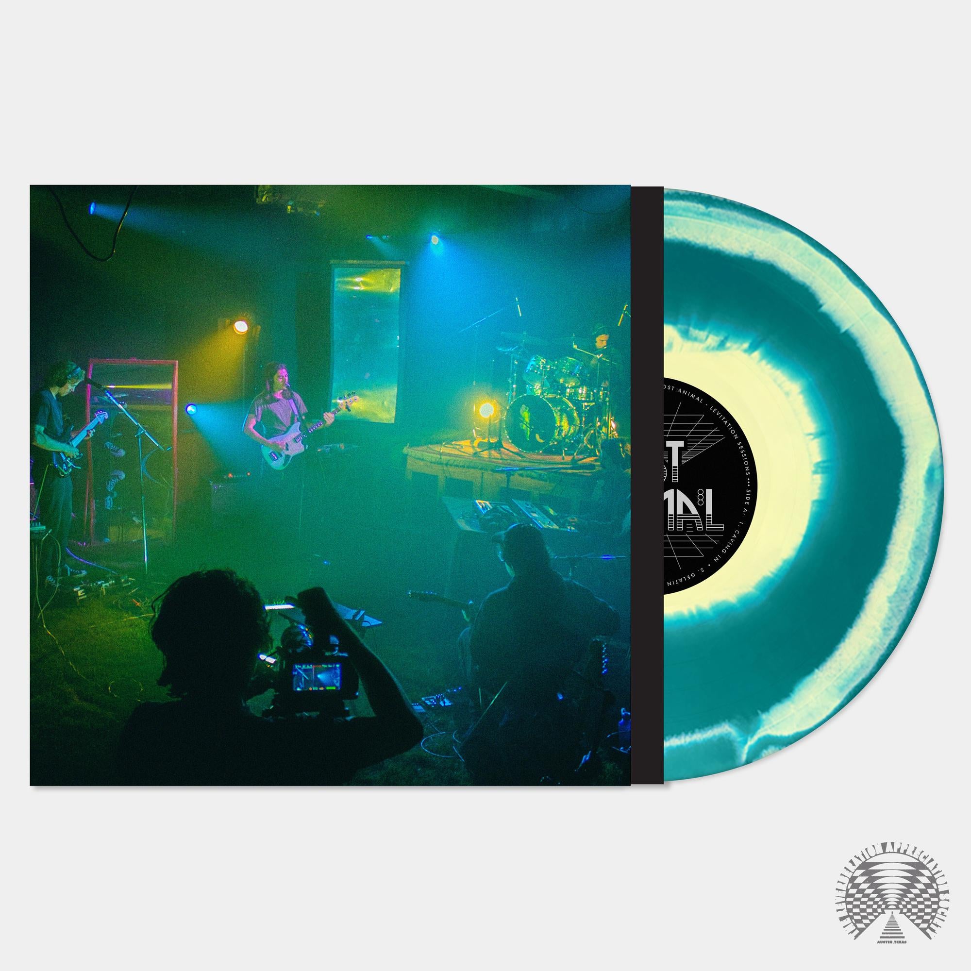 Post Animal - Levitation Sessions (Emerald Green / Yellow Swirl, Indie Exclusive) [Vinyl] - Paladin Vinyl