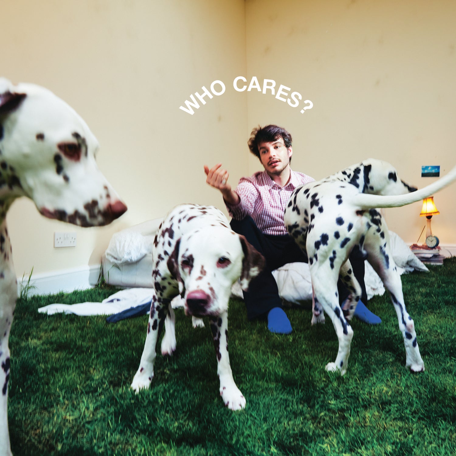Rex Orange County - Who Cares? [Vinyl] - Paladin Vinyl