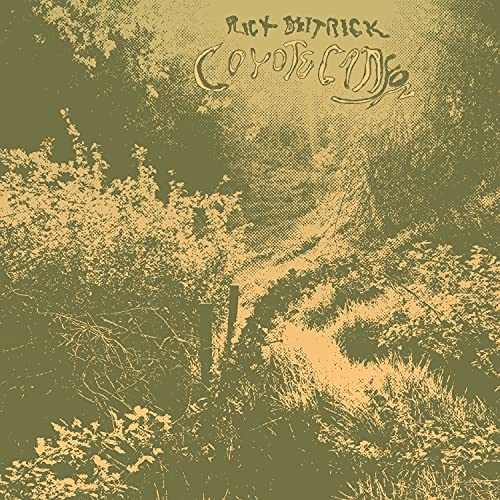 Coyote Canyon [LP] [Vinyl] - Paladin Vinyl
