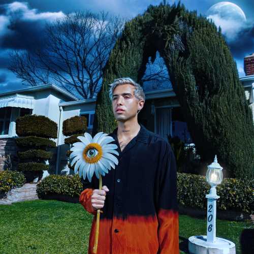Northend Sweetheart [Opaque Sunburst LP] [Vinyl] - Paladin Vinyl