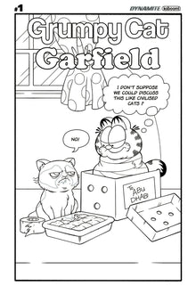 GRUMPY CAT GARFIELD #1 H (OF 3) Boom 2017 1:20 Phil Murphy Varaint