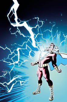 SHAZAM #2 B DC Chris Samnee Variant Geoff Johns (01/23/2019)