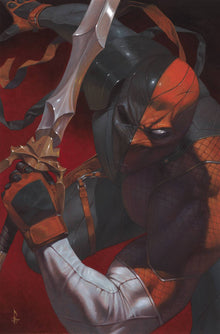 Deathstroke #44 B Ricardo Federici Variant (06/05/2019) DC