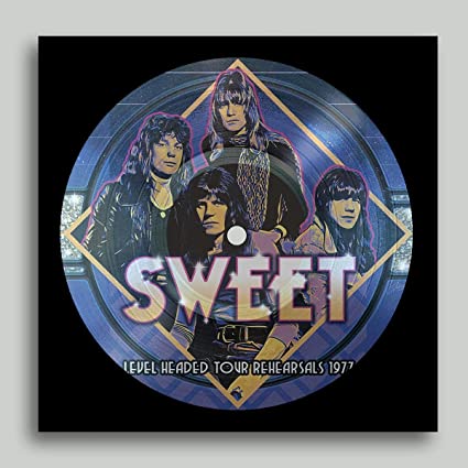 LEVEL HEADED TOUR REHEARSALS 1977 (PICTURE DISC) [Vinyl] - Paladin Vinyl