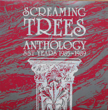 Anthology: SST Years 1985-1989 (2 Lp's) [Vinyl] - Paladin Vinyl