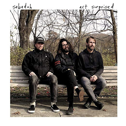 Act Surprised [Vinyl] - Paladin Vinyl