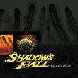 Shadows Fall - Of One Blood (Colored Vinyl, Yellow, Black Marble) [Vinyl] - Paladin Vinyl