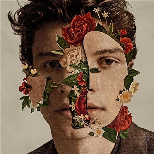 Shawn Mendes - Shawn Mendes (Standa [Vinyl] - Paladin Vinyl