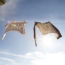 Ynaayt [Import] [Vinyl] - Paladin Vinyl