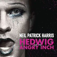Hedwig And The Angry Inch (Original Cast Recording) (Pink Vinyl) (2LP) [ROCKTOBER EXCLUSIVE] [Vinyl] - Paladin Vinyl