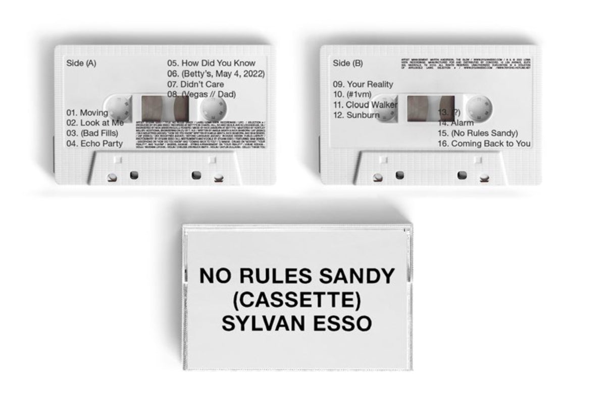 Sylvan Esso - No Rules Sandy [Cassette blanco] [Cassette]