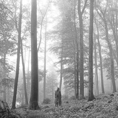 Taylor Swift - folklore ("in the trees" edition) [Vinyl] - Paladin Vinyl