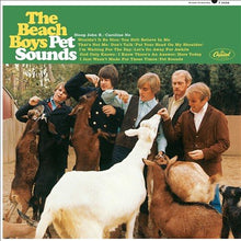 The Beach Boys - PET SOUNDS(MONO 180G [Vinyl]