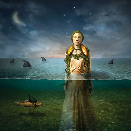 Found in the Flood (Limited Edition) [Vinyl] - Paladin Vinyl