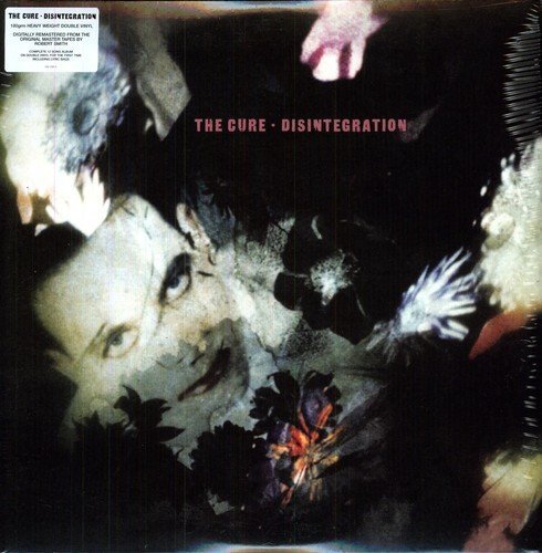 Disintegration [Vinyl] - Paladin Vinyl