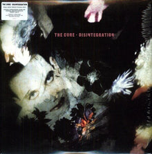 Disintegration [Vinyl] - Paladin Vinyl