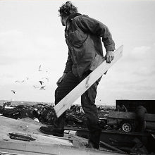 Wellswood [Vinyl]