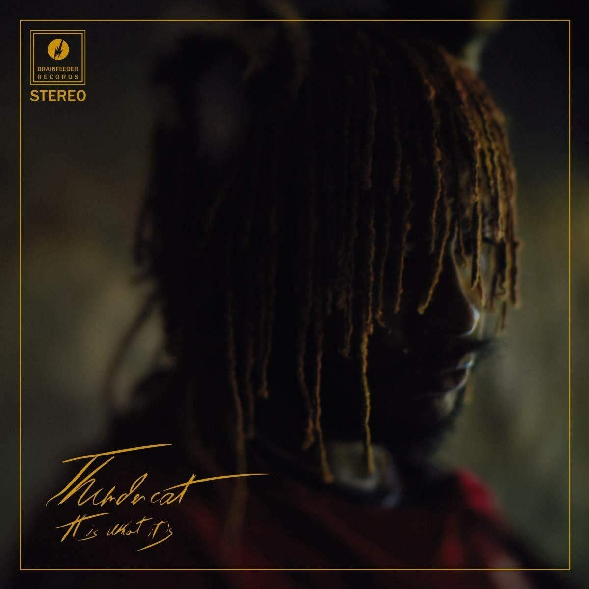 It Is What It Is (Clear Vinyl) [Vinyl] - Paladin Vinyl