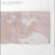 PAST IMPERFECT the best of tindersticks ’92 - ’21 (INDIE EXCLUSIVE) [Vinyl] - Paladin Vinyl